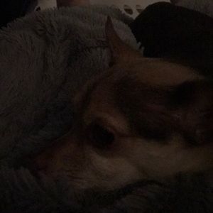 Meet your Posher, Jenifer